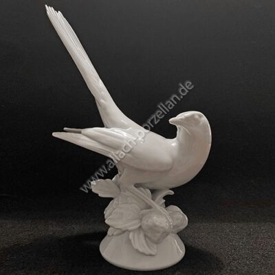 33 Amsel, Ansicht von links